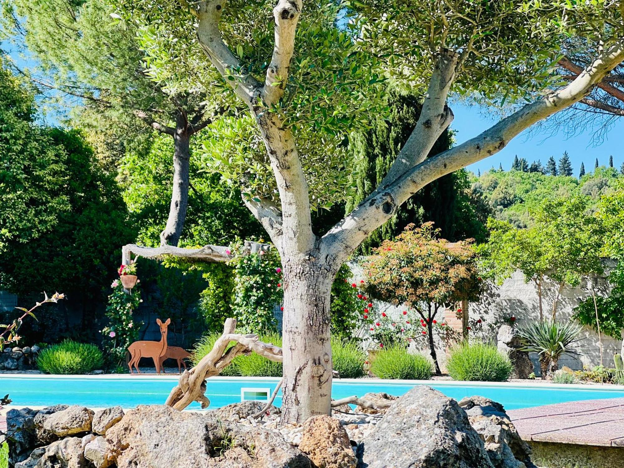 Le Case Di Lisetta Holiday Homes Corciano Exterior photo