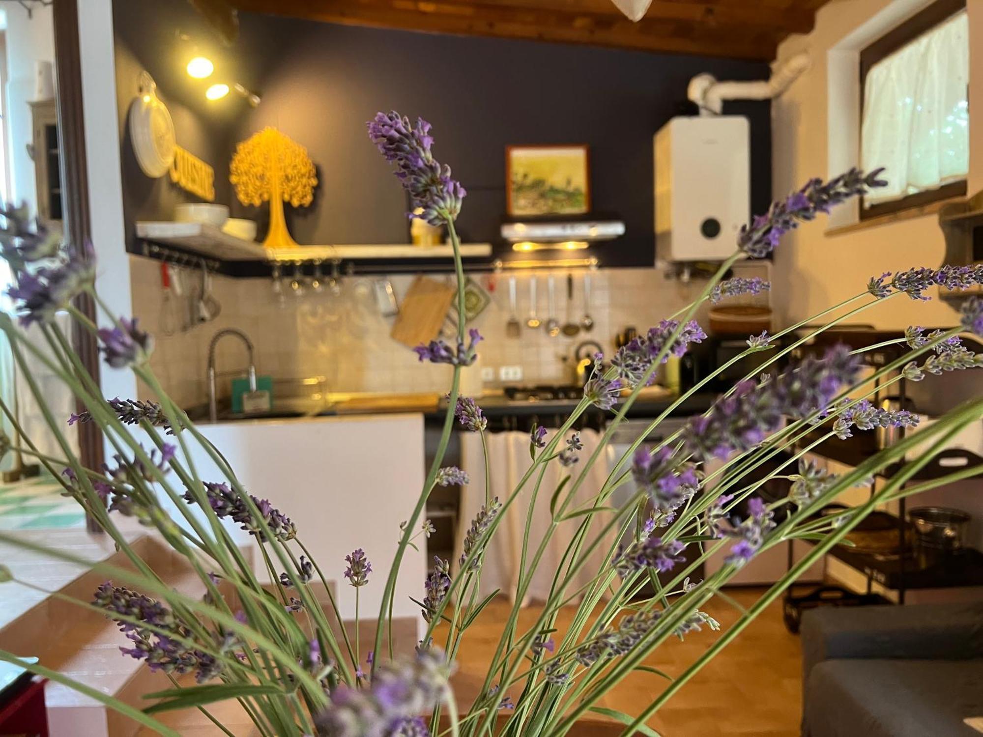 Le Case Di Lisetta Holiday Homes Corciano Exterior photo