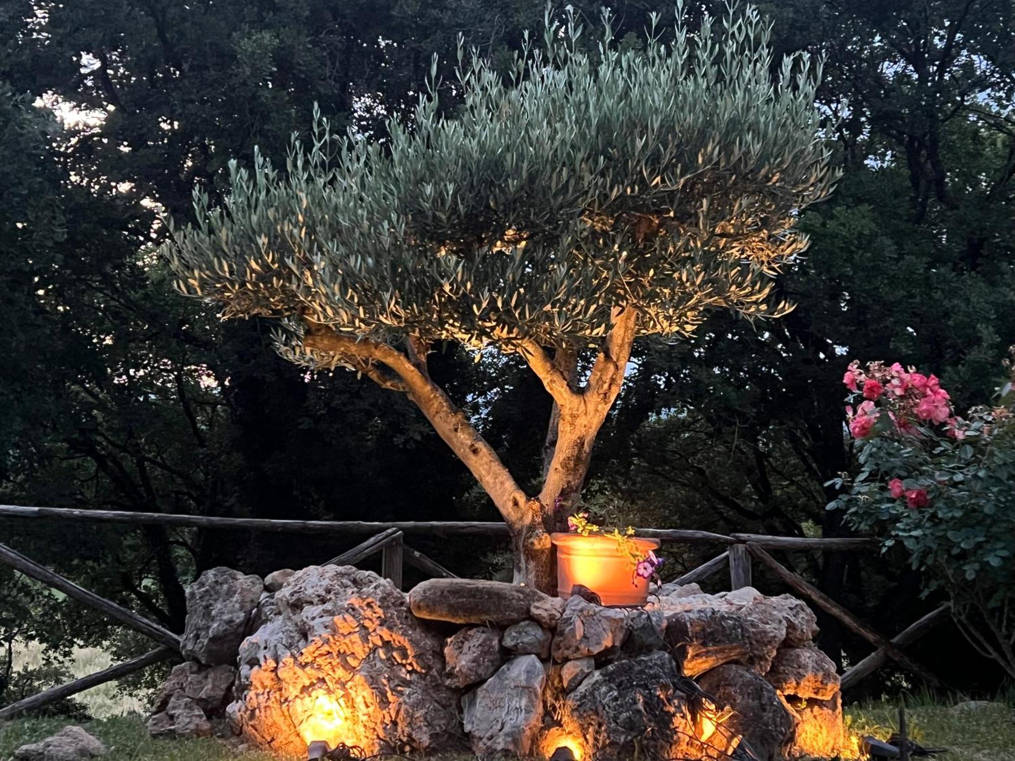 Le Case Di Lisetta Holiday Homes Corciano Exterior photo